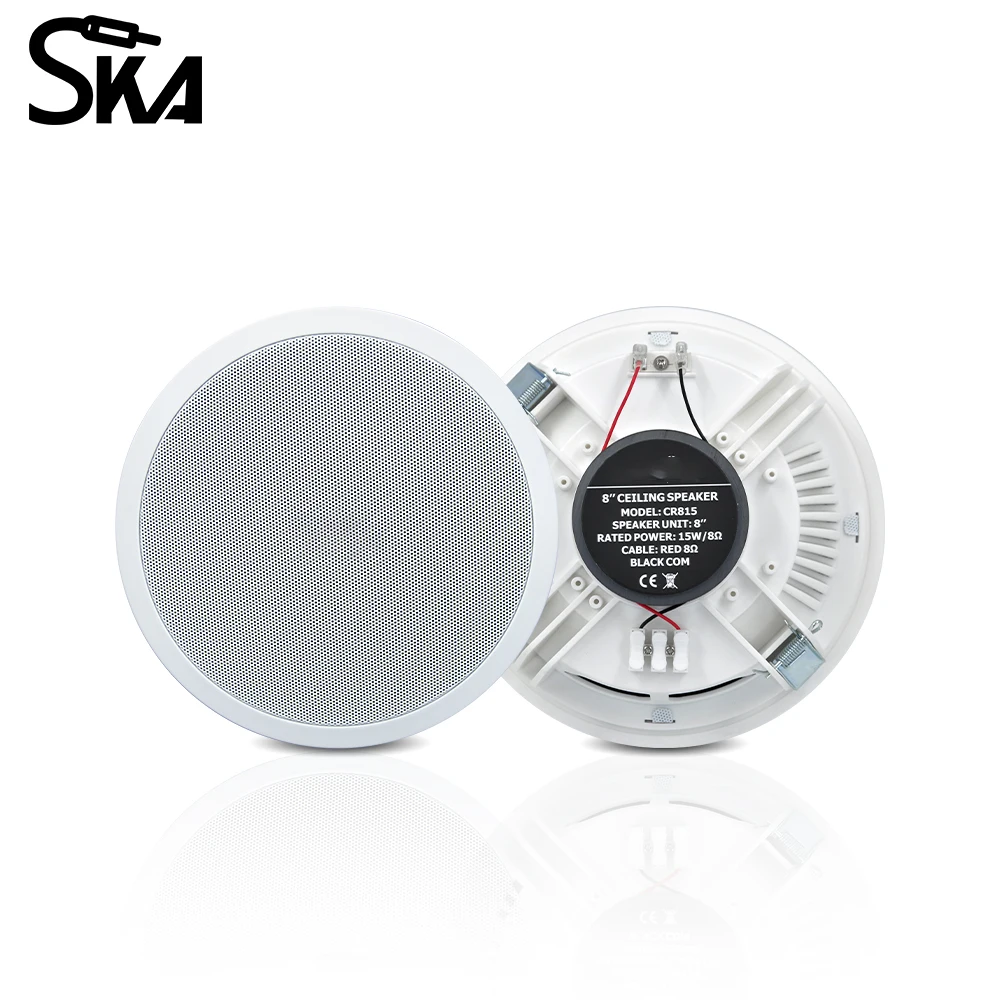 PW4420T+CR815 Smart Home Audio – Audio Music Background Bewertung und Preis