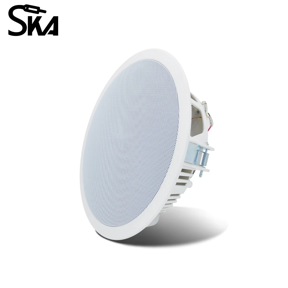 PW4420T+CR815 Smart Home Audio – Audio Music Background Bewertung und Preis