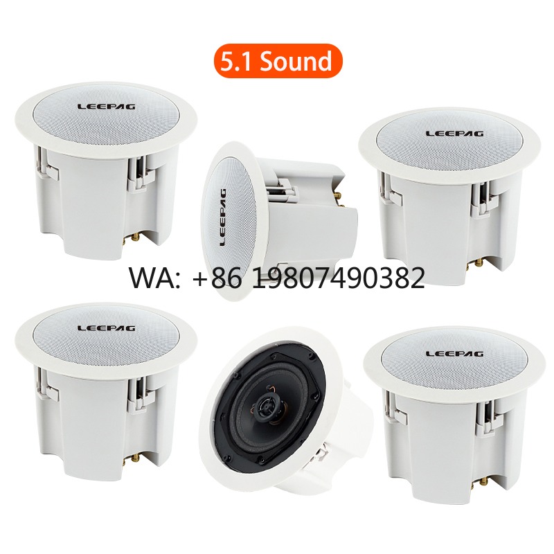 Wasserdichter WLAN-Bluetooth-D – Audio Music Background Bewertung und Preis