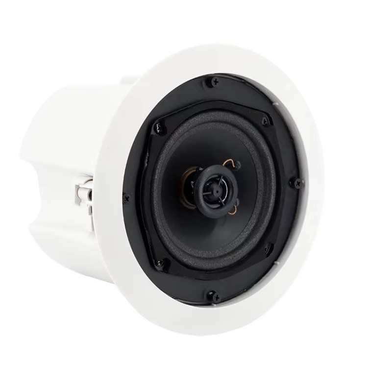 Wasserdichter WLAN-Bluetooth-D – Audio Music Background Bewertung und Preis